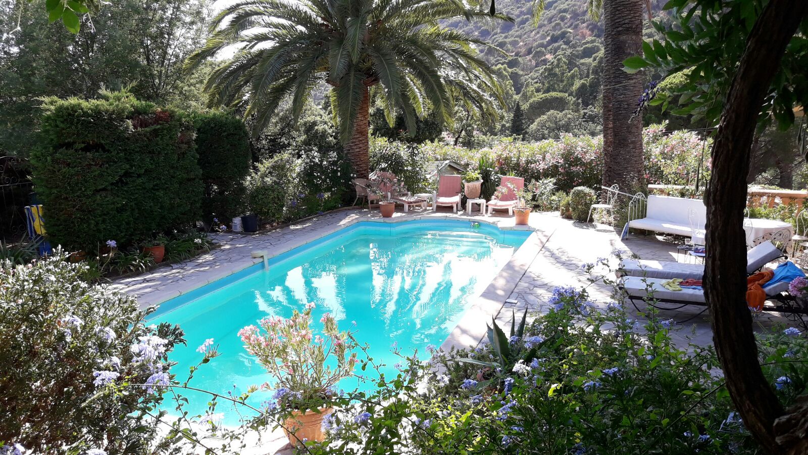 lavandouJuillet2017_10.jpg