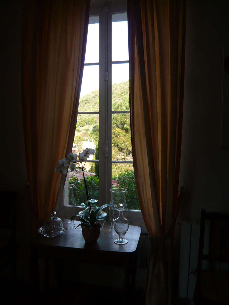 salle_a_manger_ouest.JPG