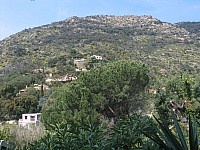 Thumbnail of environs_montage.jpg